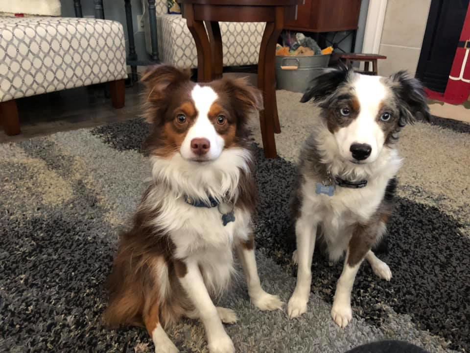 tex and blu2.jpg